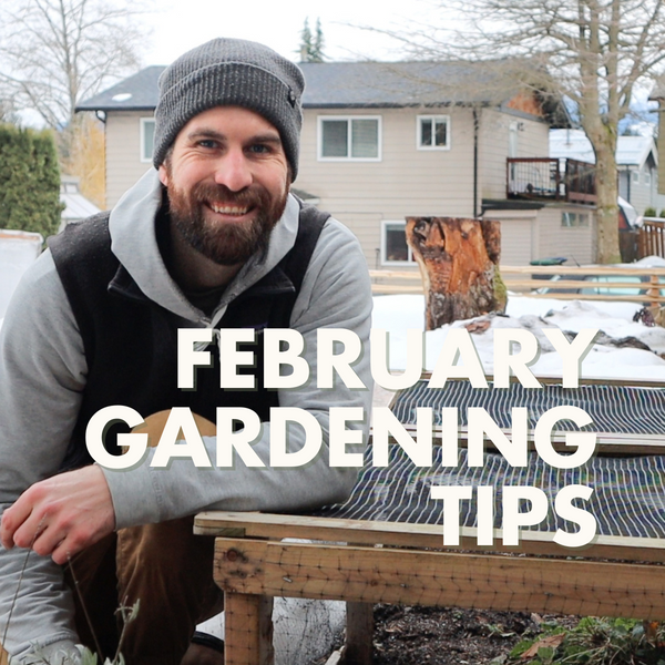February Gardening Tips
