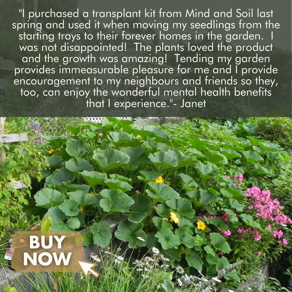 Succession Planting Kit