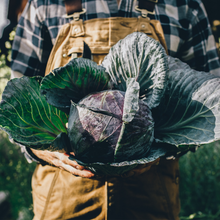 Load image into Gallery viewer, PURE WORM CASTINGS