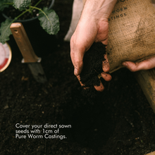 Load image into Gallery viewer, Succession Planting Kit