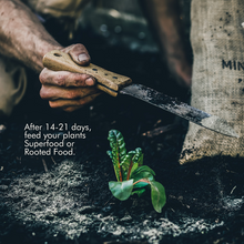 Load image into Gallery viewer, Succession Planting Kit