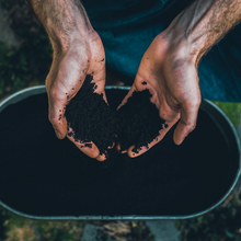 Load image into Gallery viewer, PURE WORM CASTINGS