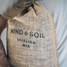 Load image into Gallery viewer, Seedling Mix v4.0