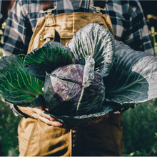 Load image into Gallery viewer, Seedling Mix v4.0