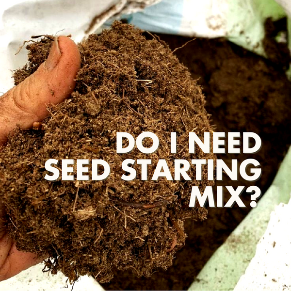Do I need Seed Starting Mix?
