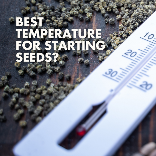 What's the Best temperature for starting seeds?