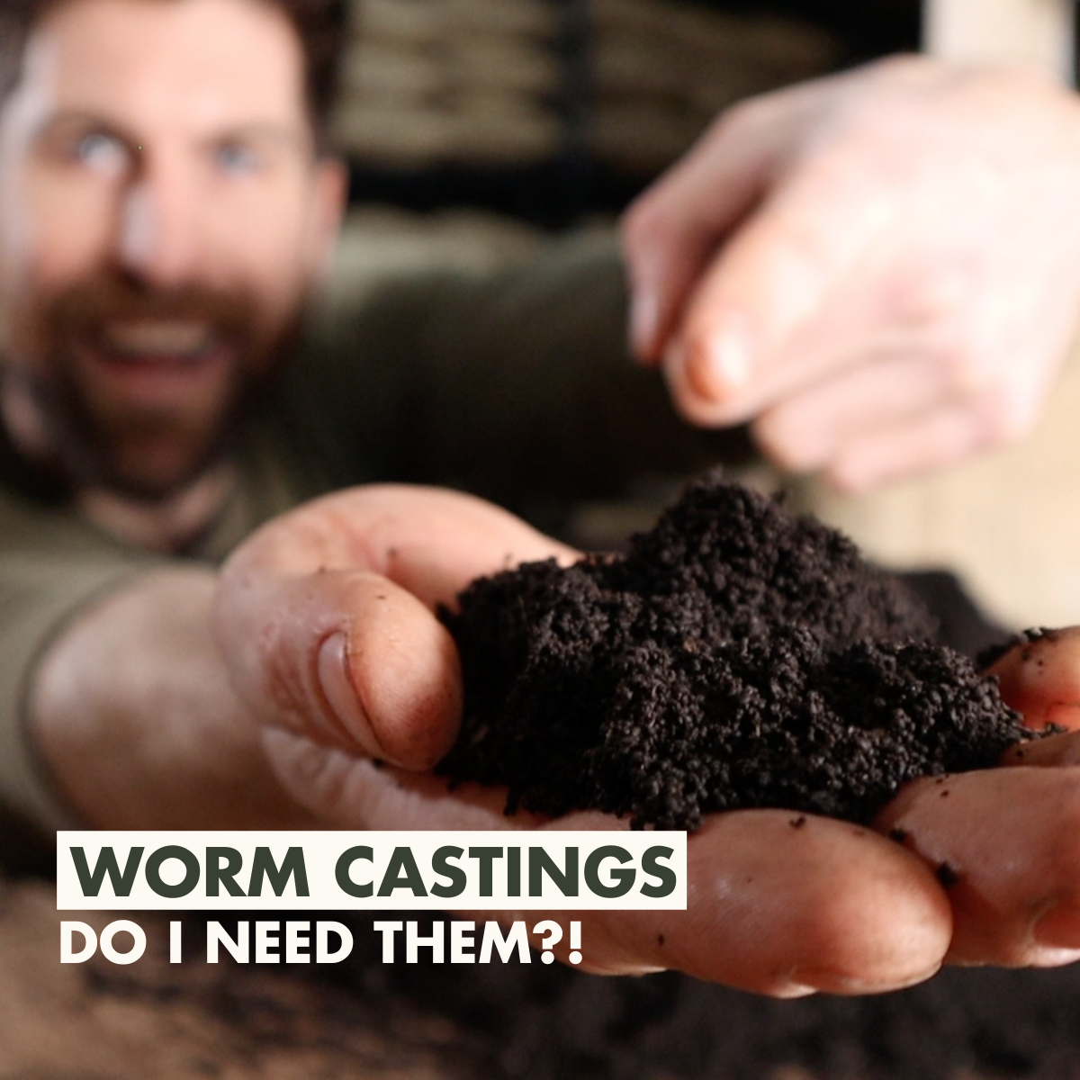 Worm Castings vs. Seed Starting Mix – Mind & Soil