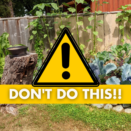 Beginner Gardening - The BIGGEST Garden Planning Mistake