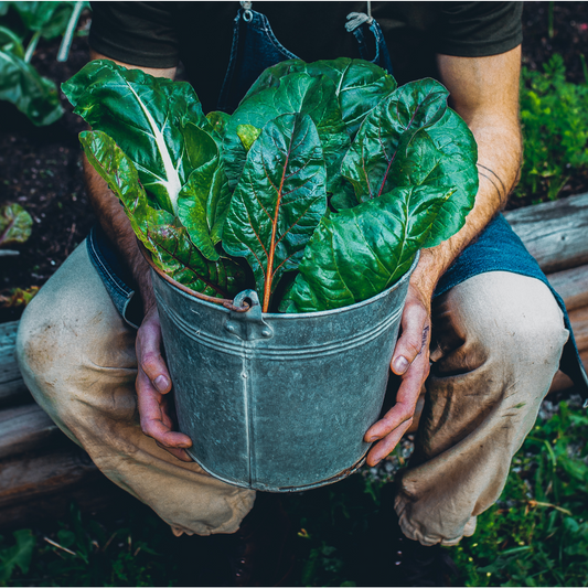 5 Steps To Maximize Your Next Harvest