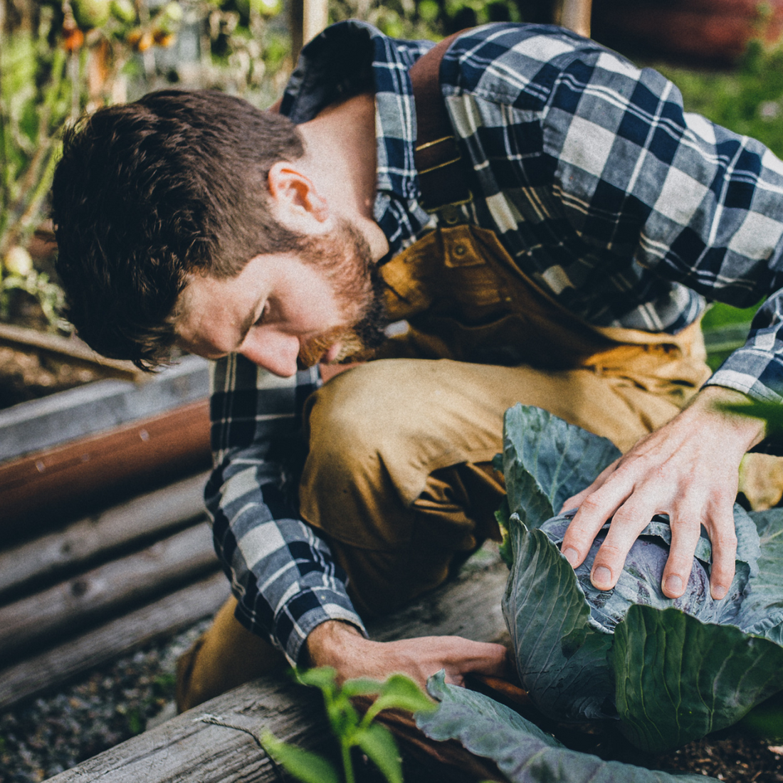 The emotions of launching Mind & Soil