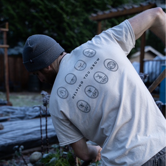 5 Steps to Intention and Goal Setting for 2021