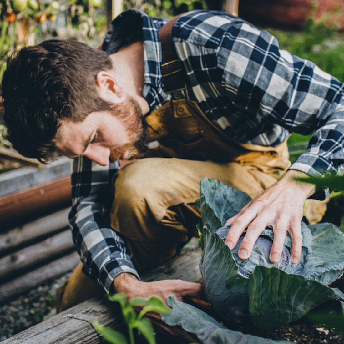 5 Steps to Planning the Perfect Garden