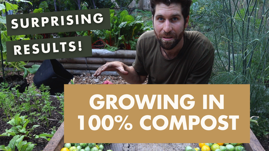 Can you grow in 100% compost?