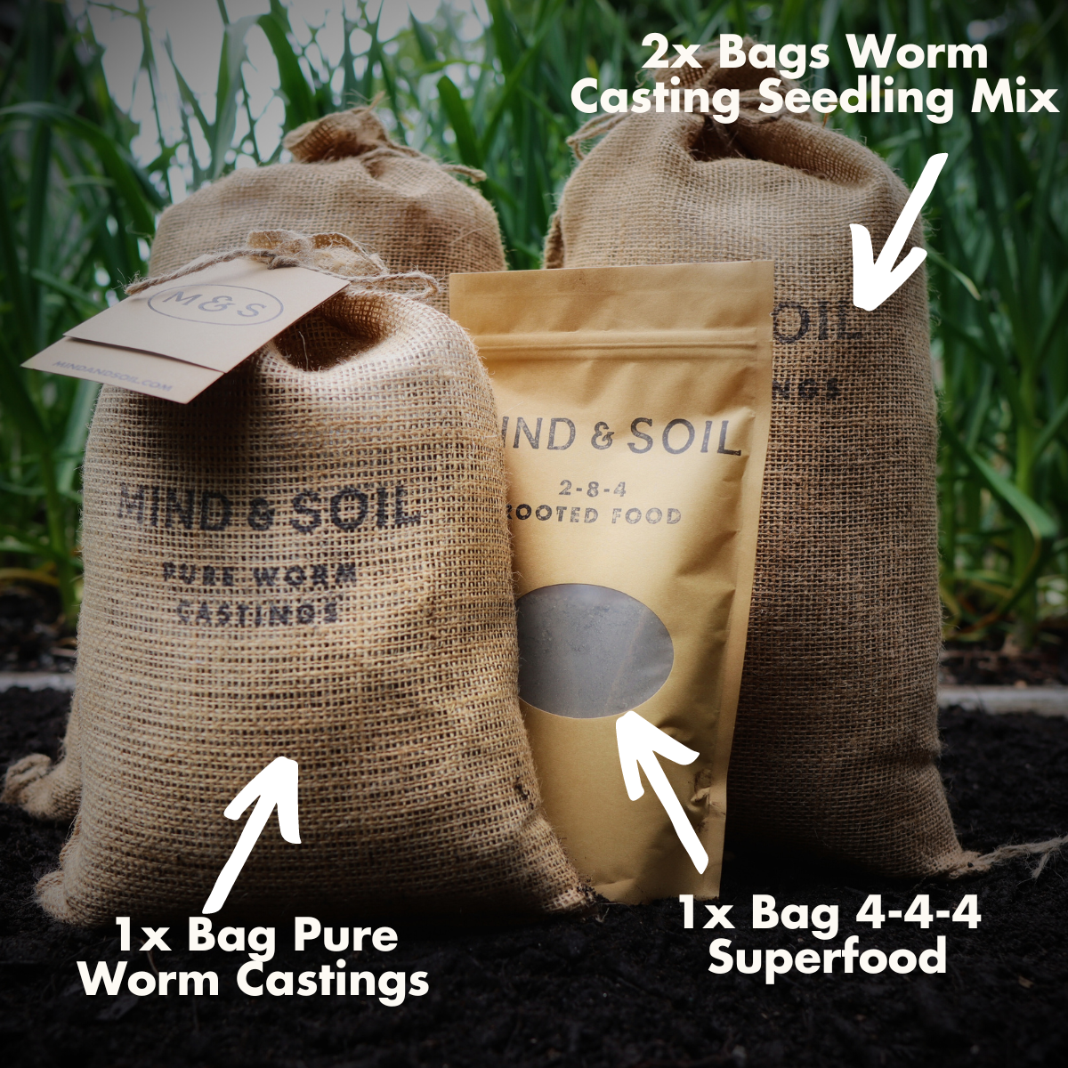 Succession Planting Kit