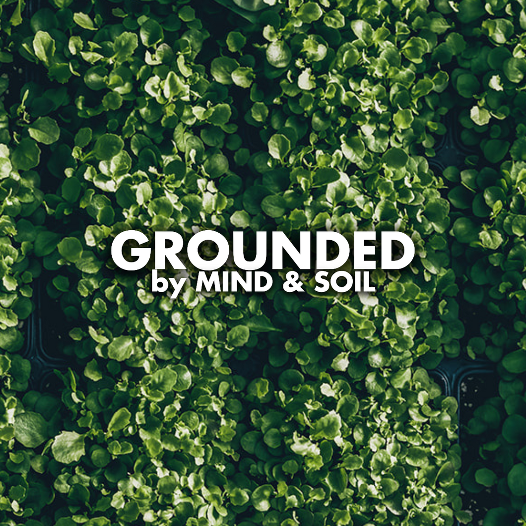 GROUNDED by Mind & Soil