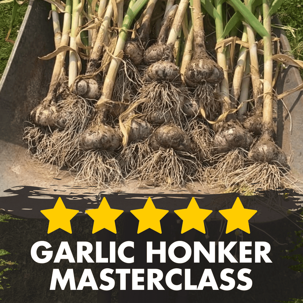 Garlic HONKER Masterclass