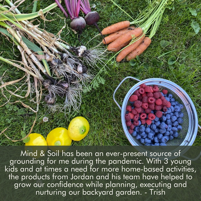 Succession Planting Kit