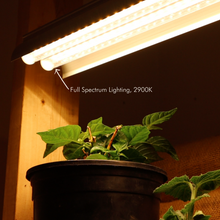 Load image into Gallery viewer, Grow Light
