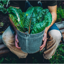 Load image into Gallery viewer, WORM CASTINGS SEEDLING MIX
